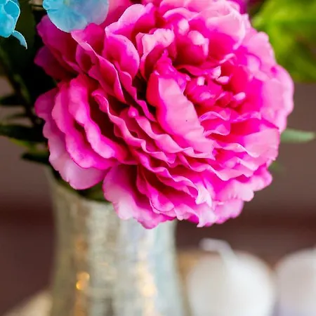 Amari Appartamento *